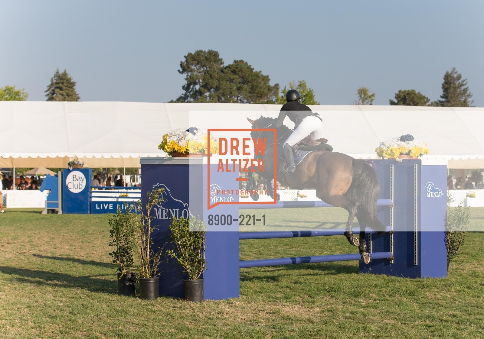 Horse Show, Menlo Charity Horse Show Gala, Menlo Circus Club. 190 Park Lane, August 7th, 2015,Drew Altizer, Drew Altizer Photography, full-service agency, private events, San Francisco photographer, photographer california