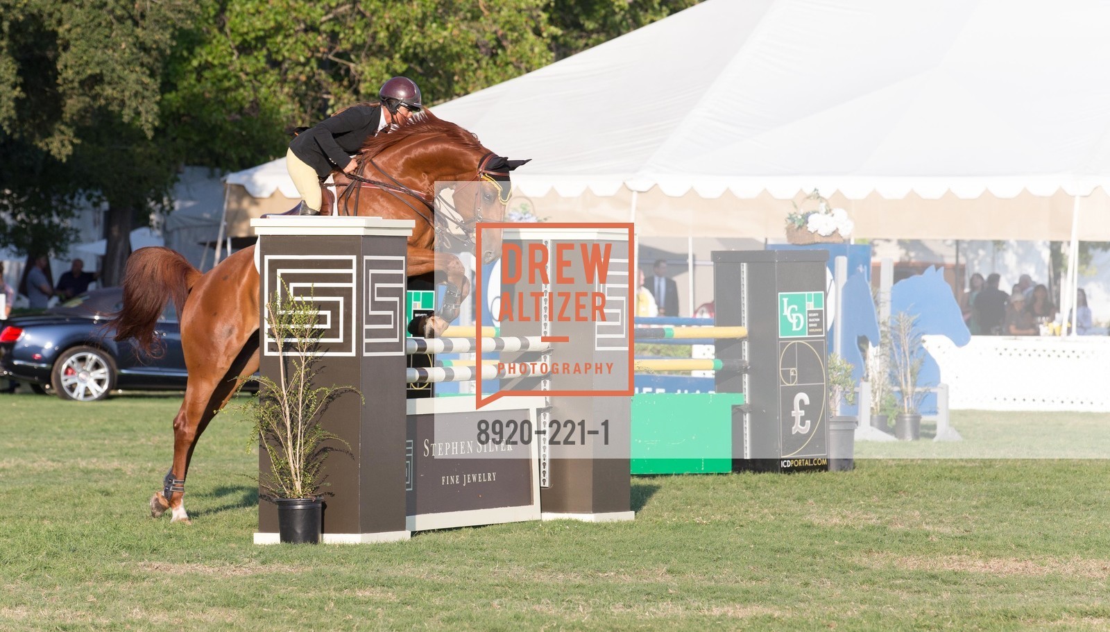 Horse Show, Menlo Charity Horse Show Gala, Menlo Circus Club. 190 Park Lane, August 7th, 2015,Drew Altizer, Drew Altizer Photography, full-service agency, private events, San Francisco photographer, photographer california