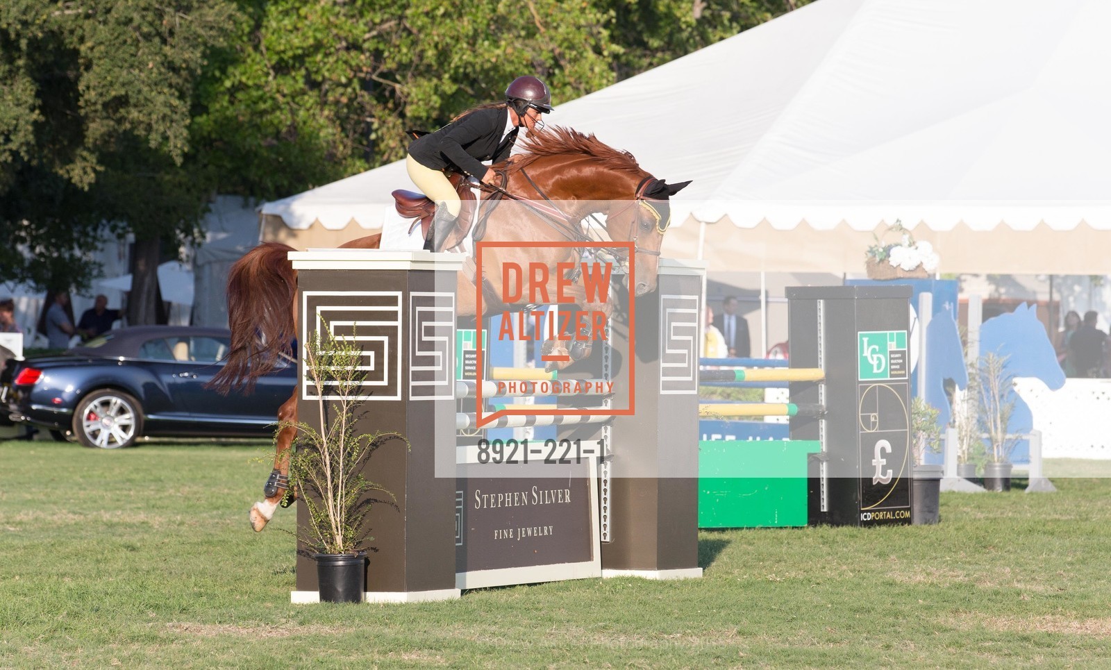 Horse Show, Menlo Charity Horse Show Gala, Menlo Circus Club. 190 Park Lane, August 7th, 2015,Drew Altizer, Drew Altizer Photography, full-service agency, private events, San Francisco photographer, photographer california