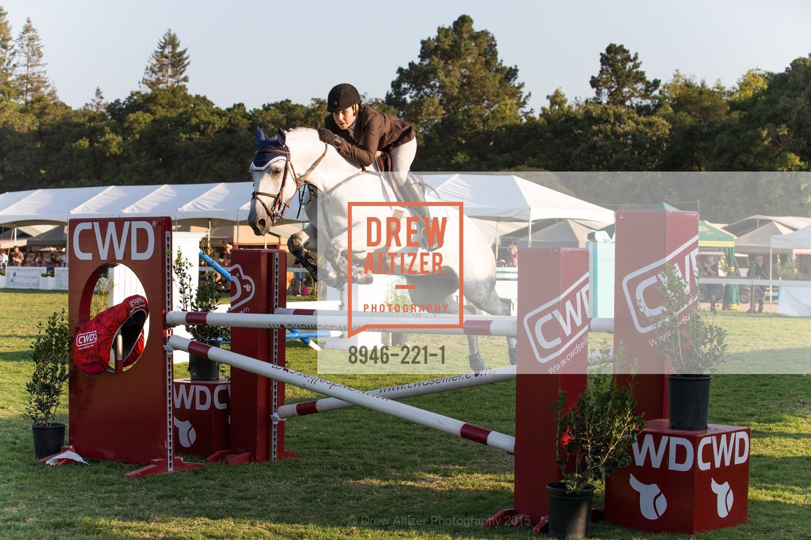 Horse Show, Menlo Charity Horse Show Gala, Menlo Circus Club. 190 Park Lane, August 7th, 2015,Drew Altizer, Drew Altizer Photography, full-service agency, private events, San Francisco photographer, photographer california