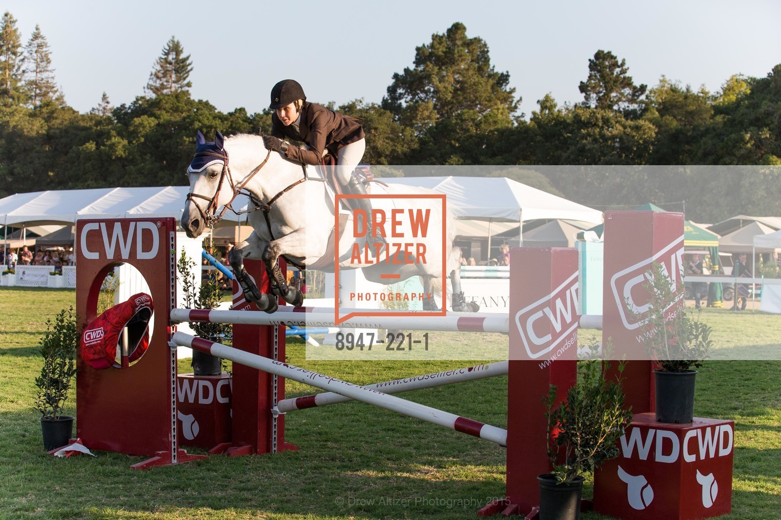 Horse Show, Menlo Charity Horse Show Gala, Menlo Circus Club. 190 Park Lane, August 7th, 2015,Drew Altizer, Drew Altizer Photography, full-service agency, private events, San Francisco photographer, photographer california