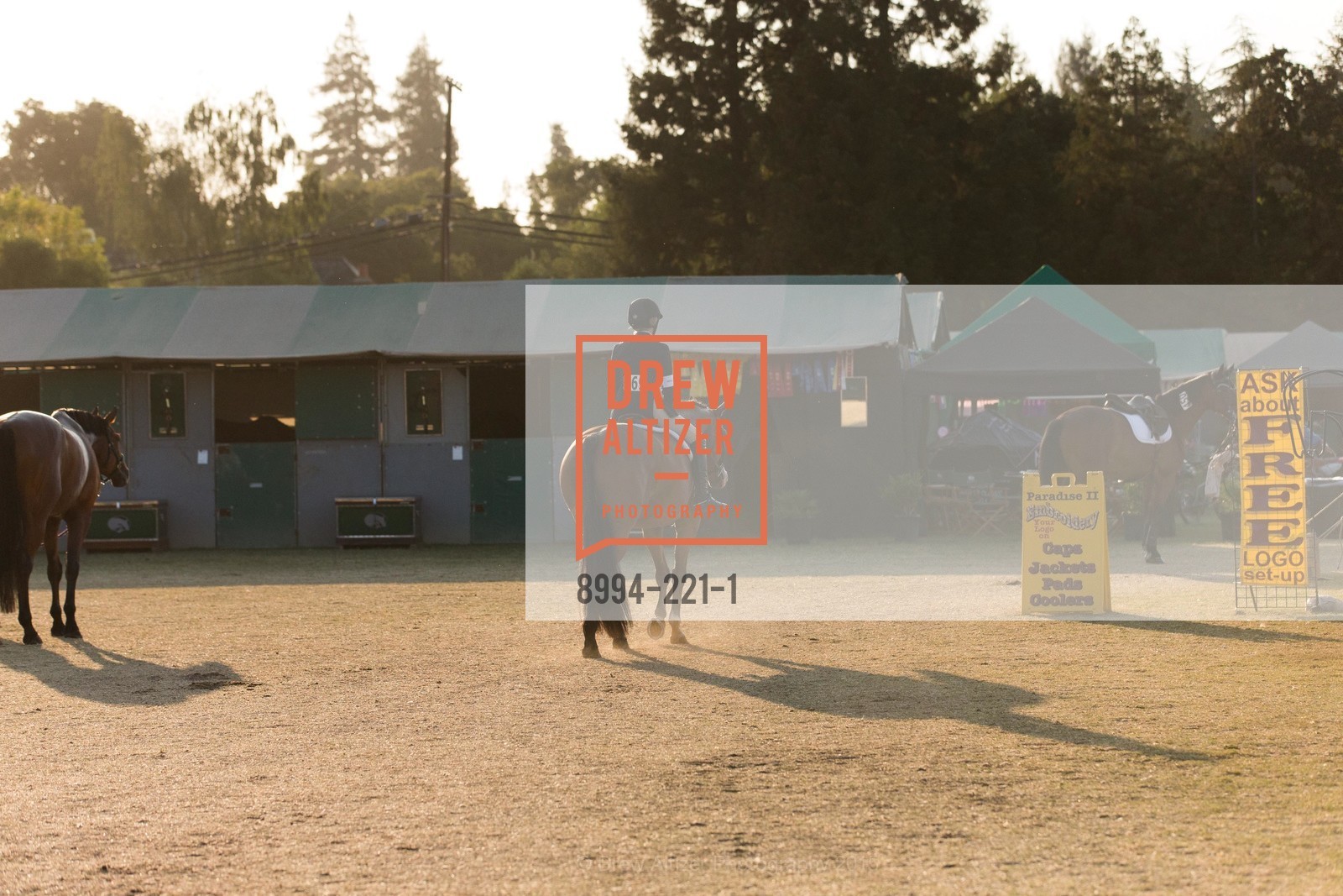 Horse Show, Menlo Charity Horse Show Gala, Menlo Circus Club. 190 Park Lane, August 7th, 2015,Drew Altizer, Drew Altizer Photography, full-service agency, private events, San Francisco photographer, photographer california