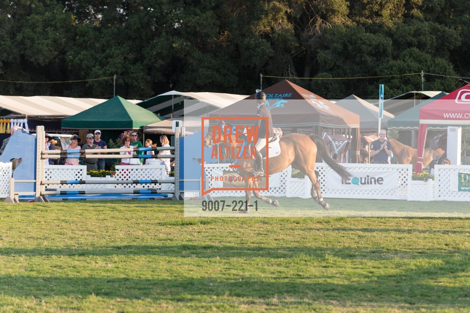 Horse Show, Menlo Charity Horse Show Gala, Menlo Circus Club. 190 Park Lane, August 7th, 2015,Drew Altizer, Drew Altizer Photography, full-service agency, private events, San Francisco photographer, photographer california