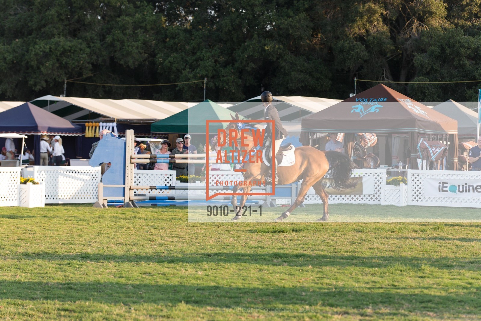 Horse Show, Menlo Charity Horse Show Gala, Menlo Circus Club. 190 Park Lane, August 7th, 2015,Drew Altizer, Drew Altizer Photography, full-service event agency, private events, San Francisco photographer, photographer California