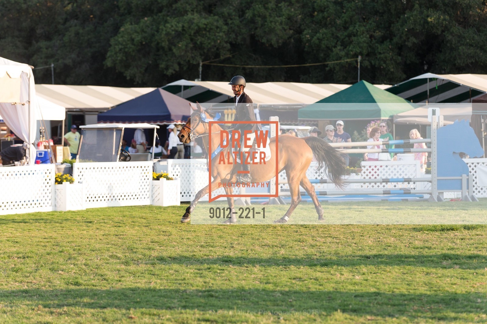 Horse Show, Menlo Charity Horse Show Gala, Menlo Circus Club. 190 Park Lane, August 7th, 2015,Drew Altizer, Drew Altizer Photography, full-service agency, private events, San Francisco photographer, photographer california