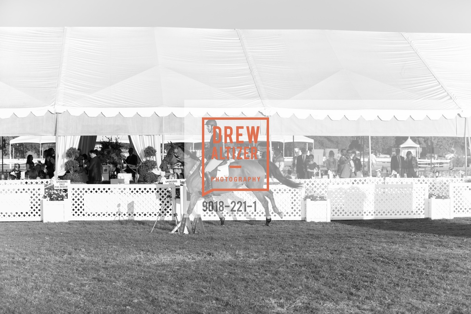 Horse Show, Menlo Charity Horse Show Gala, Menlo Circus Club. 190 Park Lane, August 7th, 2015,Drew Altizer, Drew Altizer Photography, full-service agency, private events, San Francisco photographer, photographer california