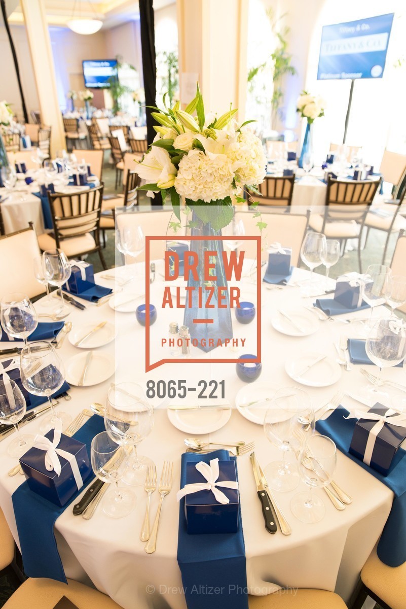 Atmosphere, Menlo Charity Horse Show Gala, Menlo Circus Club. 190 Park Lane, August 7th, 2015,Drew Altizer, Drew Altizer Photography, full-service agency, private events, San Francisco photographer, photographer california