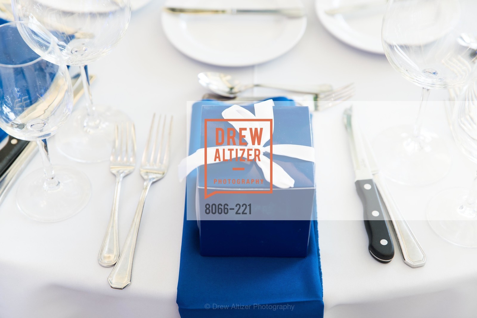 Atmosphere, Menlo Charity Horse Show Gala, Menlo Circus Club. 190 Park Lane, August 7th, 2015,Drew Altizer, Drew Altizer Photography, full-service agency, private events, San Francisco photographer, photographer california