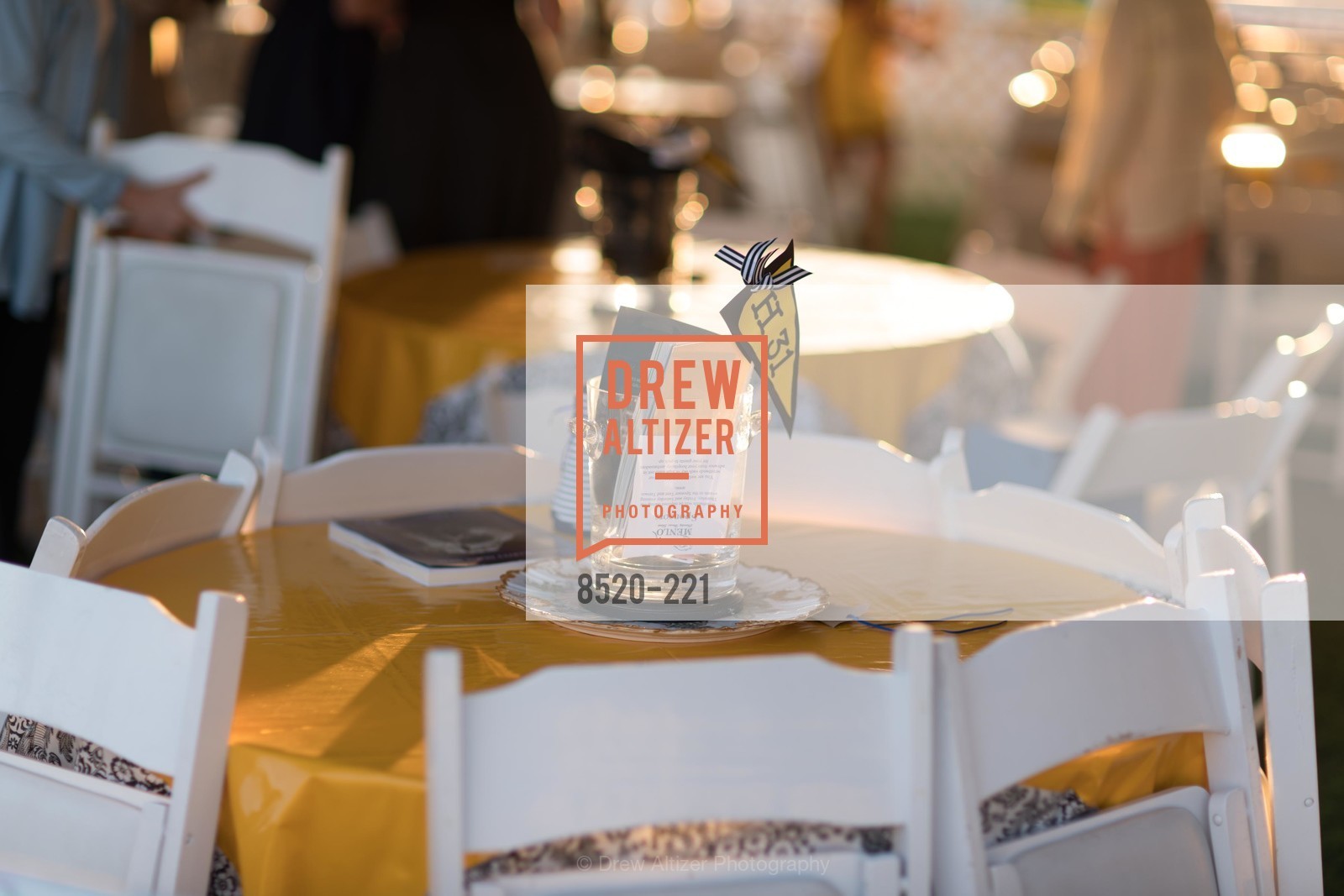 Atmosphere, Menlo Charity Horse Show Gala, Menlo Circus Club. 190 Park Lane, August 7th, 2015,Drew Altizer, Drew Altizer Photography, full-service agency, private events, San Francisco photographer, photographer california