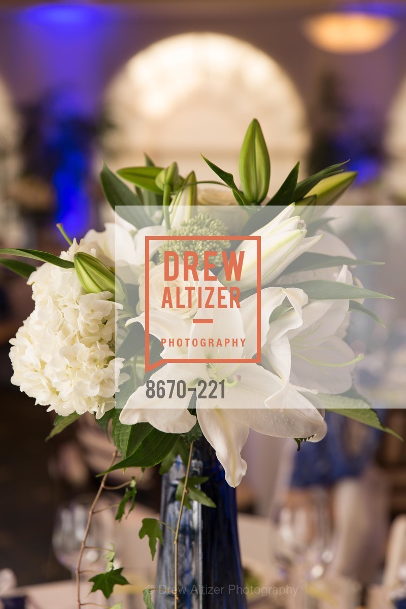 Atmosphere, Menlo Charity Horse Show Gala, Menlo Circus Club. 190 Park Lane, August 7th, 2015,Drew Altizer, Drew Altizer Photography, full-service agency, private events, San Francisco photographer, photographer california