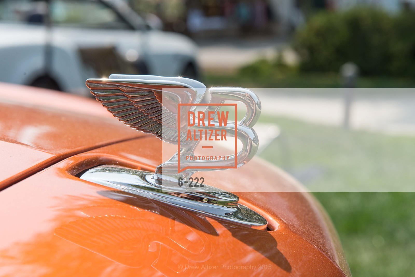 Atmosphere, Bentley Tailgate Party Benefiting the Menlo Charity Horse Show, Menlo Circus Club, August 8th, 2015,Drew Altizer, Drew Altizer Photography, full-service agency, private events, San Francisco photographer, photographer california