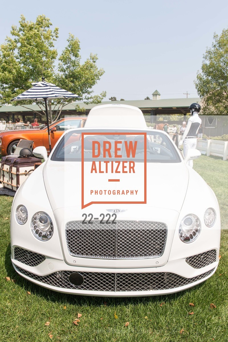 Atmosphere, Bentley Tailgate Party Benefiting the Menlo Charity Horse Show, Menlo Circus Club, August 8th, 2015,Drew Altizer, Drew Altizer Photography, full-service agency, private events, San Francisco photographer, photographer california