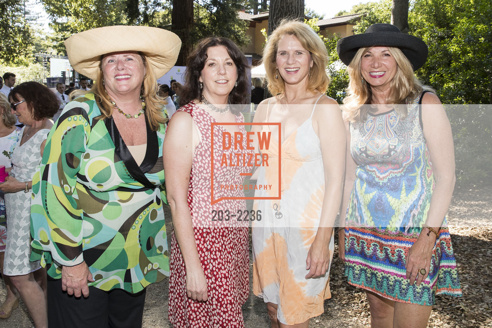 Veronica Fall, Julie Wildman, Laura Phelps, Nancy Isaac, LymeAid 2017, Private Residence, May 21st, 2017, Photo #203-2236 Veronica Fall, Julie Wildman, Laura Phelps, Nancy Isaac, Photo #203-2236