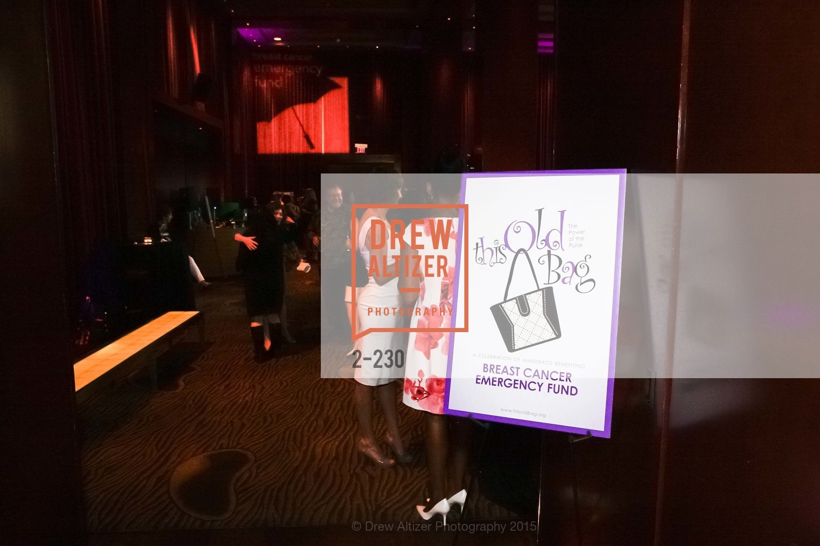 Atmosphere, This Old Bag San Francisco Preview Party, Clift, Velvet Room. 495 Geary St, August 13th, 2015,Drew Altizer, Drew Altizer Photography, full-service event agency, private events, San Francisco photographer, photographer California