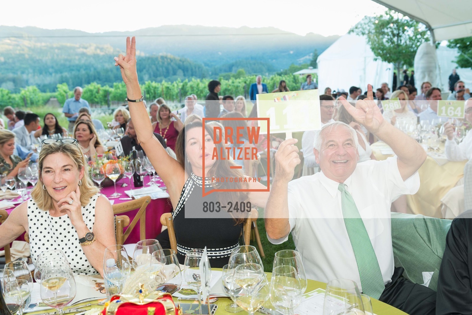 Atmosphere, Festival Napa Valley 2017 Arts for All Gala at HALL St. Helena, HALL. 401 St Helena Hwy, St Helena, CA 94574, July 16th, 2017, Photo #803-2409 Atmosphere, Photo #803-2409