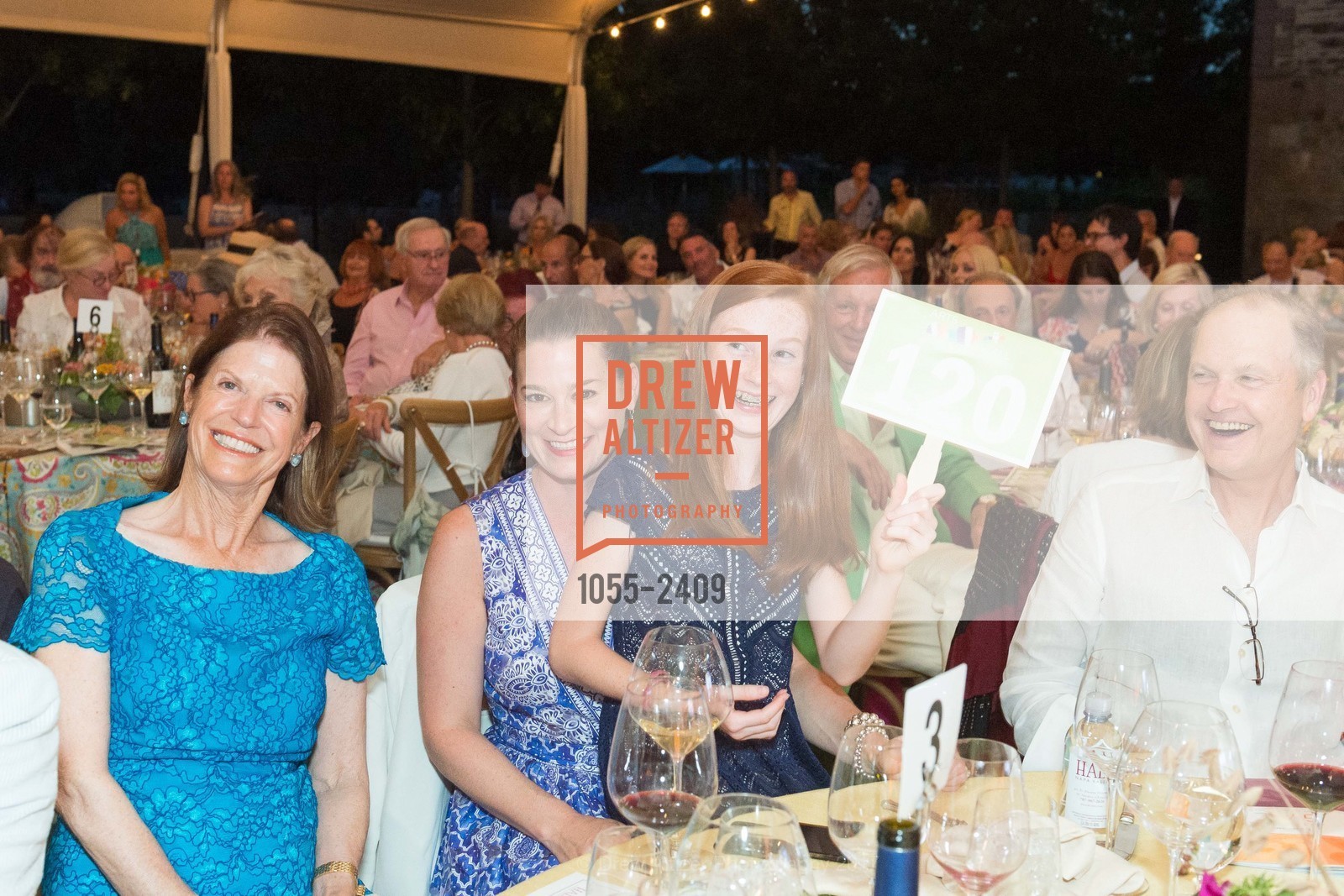 Carol Norfleet, Claire Stull, Steven Stull, Festival Napa Valley 2017 Arts for All Gala at HALL St. Helena, HALL. 401 St Helena Hwy, St Helena, CA 94574, July 16th, 2017, Photo #1055-2409 Carol Norfleet, Claire Stull, Steven Stull, Photo #1055-2409