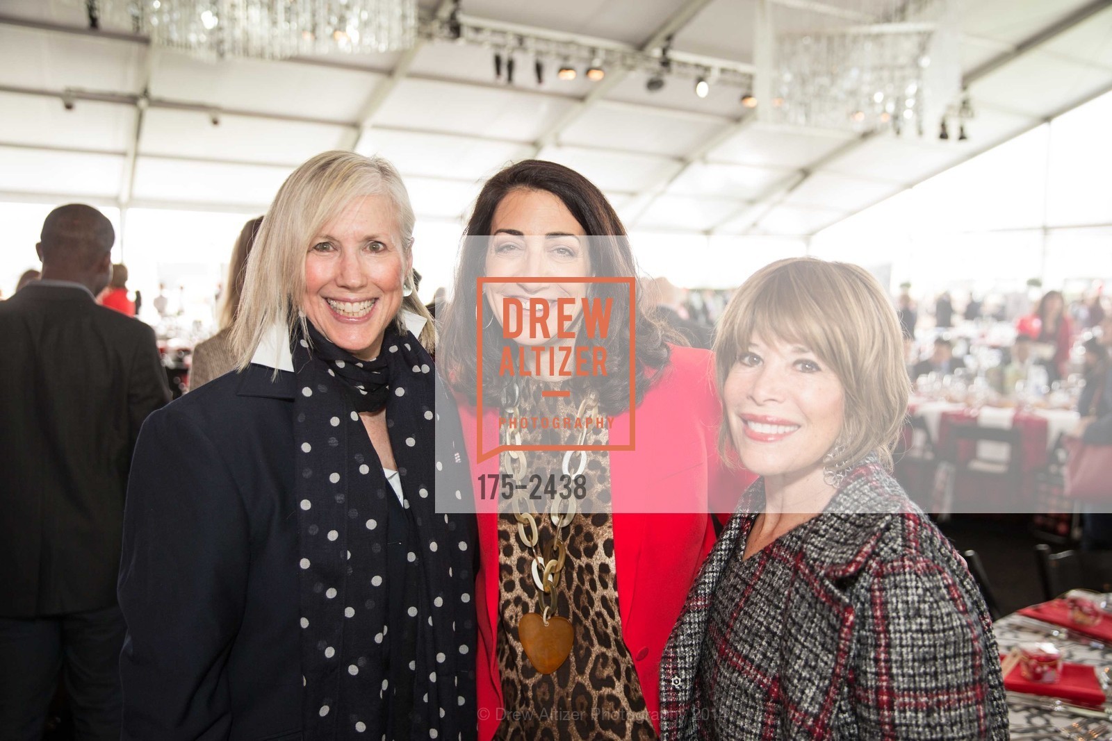 Carolyn Steinberg, Pam Baer, Linda Fischbach, HEROES & HEARTS Luncheon 2014, US, February 13th, 2014, Photo #175-2438 Carolyn Steinberg, Pam Baer, Linda Fischbach, Photo #175-2438