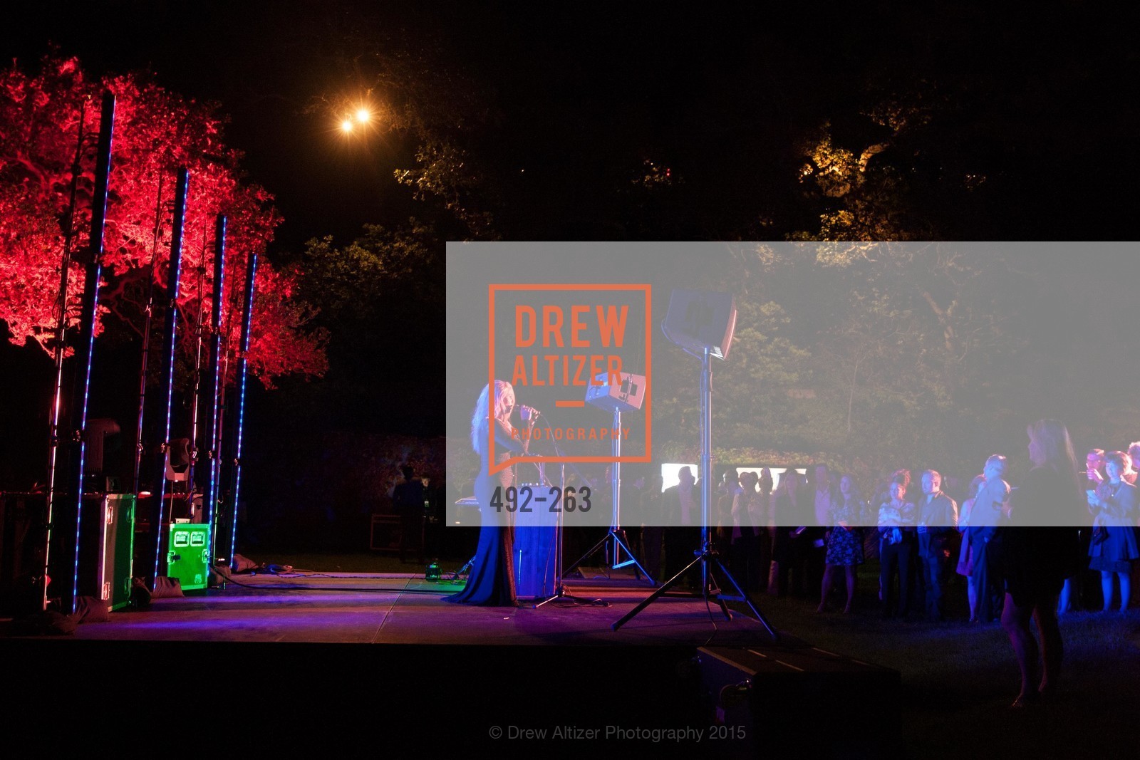 Victoria Noyes, Drever Family Foundation Presents The 2015 Hotbed Benefit, Private, August 22nd, 2015,Drew Altizer, Drew Altizer Photography, full-service event agency, private events, San Francisco photographer, photographer California