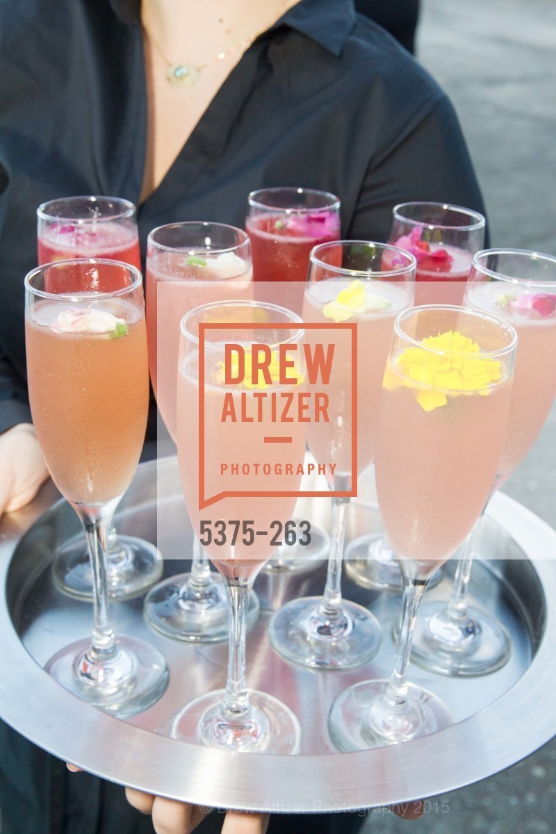 Extra, Drever Family Foundation Presents The 2015 Hotbed Benefit, August 22nd, 2015, Photo,Drew Altizer, Drew Altizer Photography, full-service agency, private events, San Francisco photographer, photographer california
