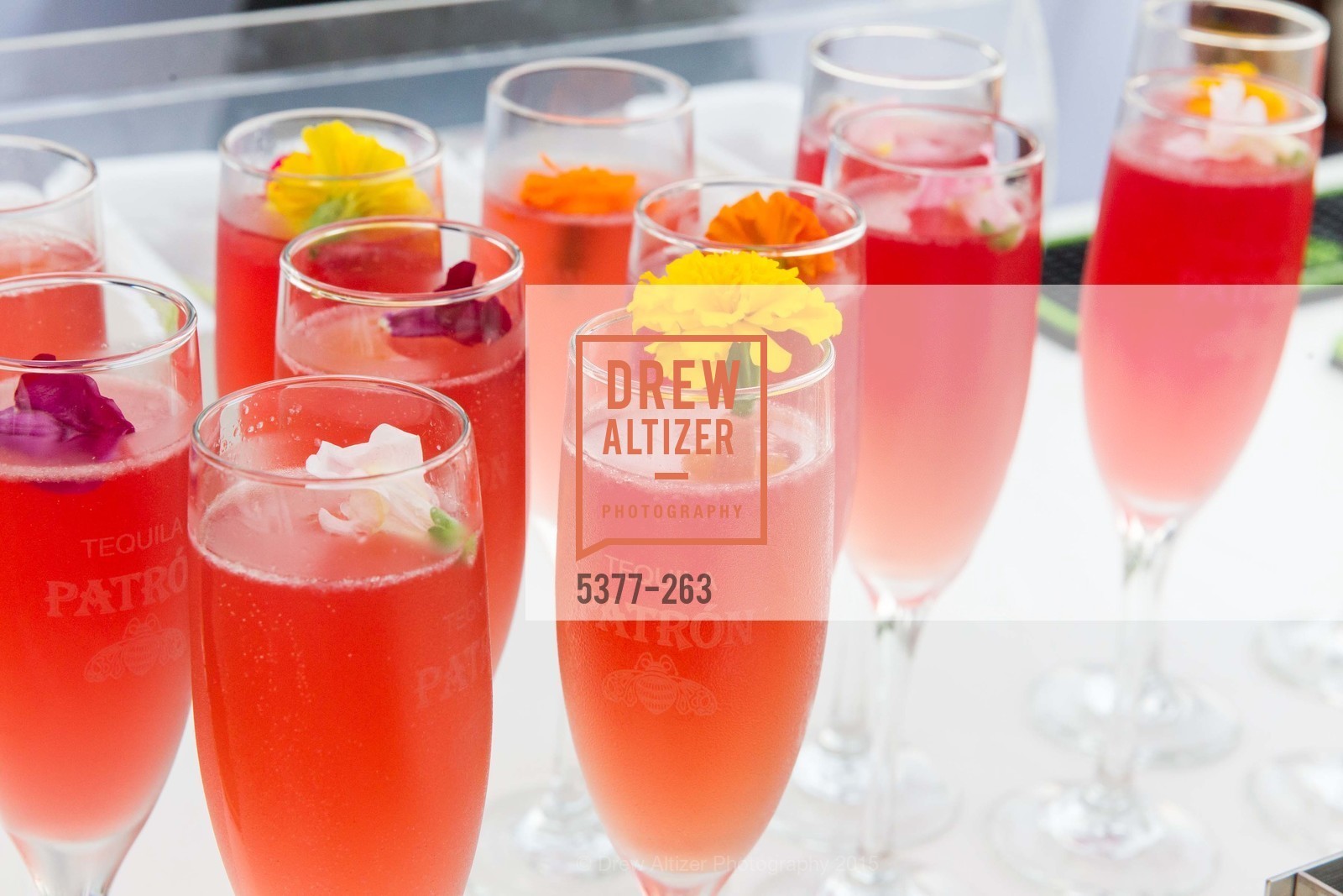 Extra, Drever Family Foundation Presents The 2015 Hotbed Benefit, August 22nd, 2015, Photo,Drew Altizer, Drew Altizer Photography, full-service agency, private events, San Francisco photographer, photographer california