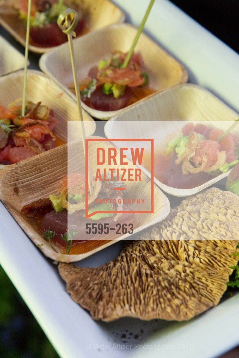 Extra, Drever Family Foundation Presents The 2015 Hotbed Benefit, August 22nd, 2015, Photo,Drew Altizer, Drew Altizer Photography, full-service agency, private events, San Francisco photographer, photographer california