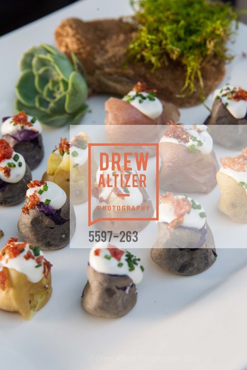 Extra, Drever Family Foundation Presents The 2015 Hotbed Benefit, August 22nd, 2015, Photo,Drew Altizer, Drew Altizer Photography, full-service event agency, private events, San Francisco photographer, photographer California