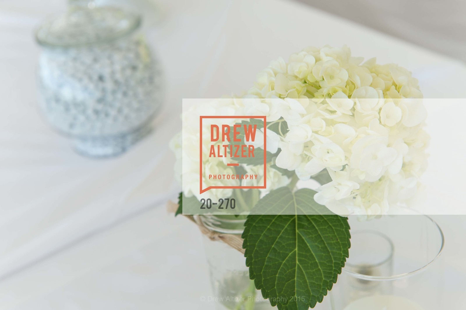 Atmosphere, Bay Club StoneTree Bianco Party, ay Club StoneTree. 9 Stone Tree Lane, August 29th, 2015,Drew Altizer, Drew Altizer Photography, full-service agency, private events, San Francisco photographer, photographer california