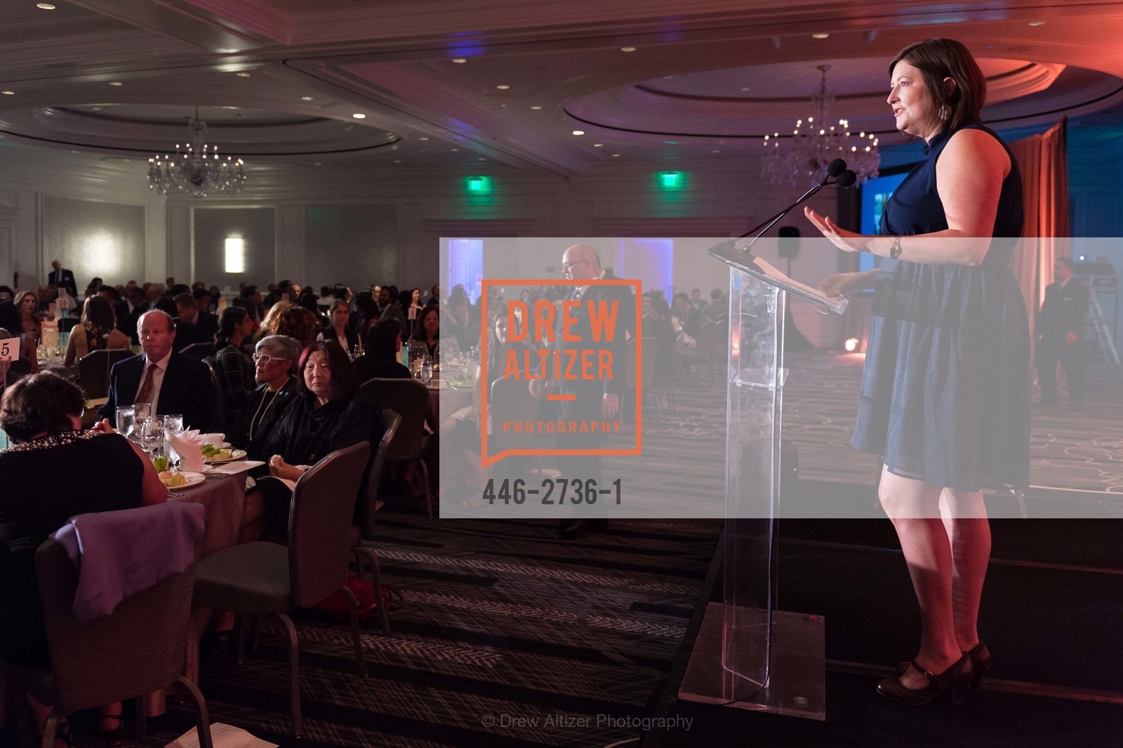 Atmosphere, San Francisco Education Fund Gala 2017, The Ritz. 600 Stockton St. San Francisco, California 94108 United States, Photo #446-2736-1 Atmosphere, Photo #446-2736-1