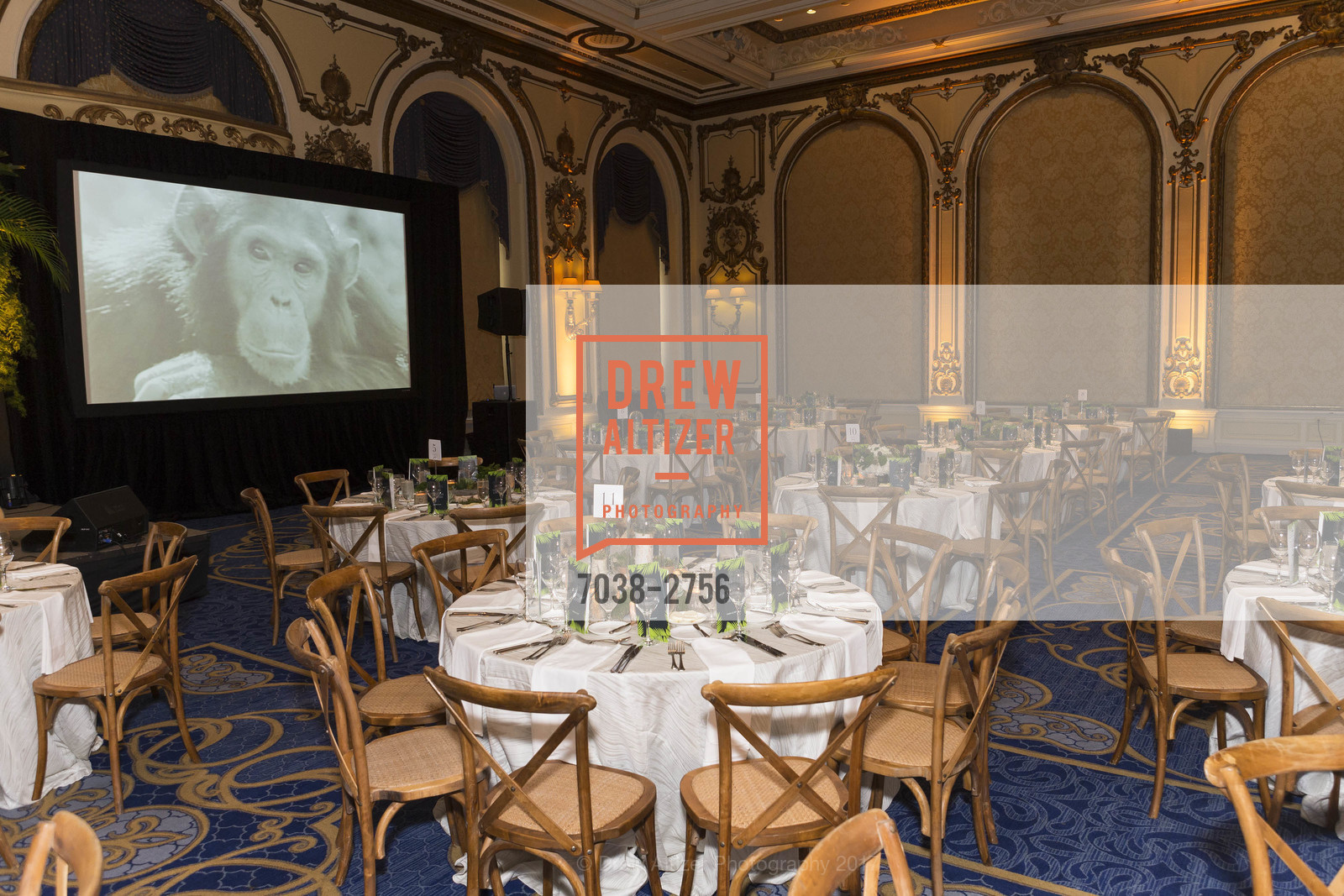 Atmosphere, Gombe 2020: Tomorrow & Beyond, The Fairmont Hotel. 950 Mason Street, October 12th, 2017, Photo #7038-2756 Atmosphere, Photo #7038-2756