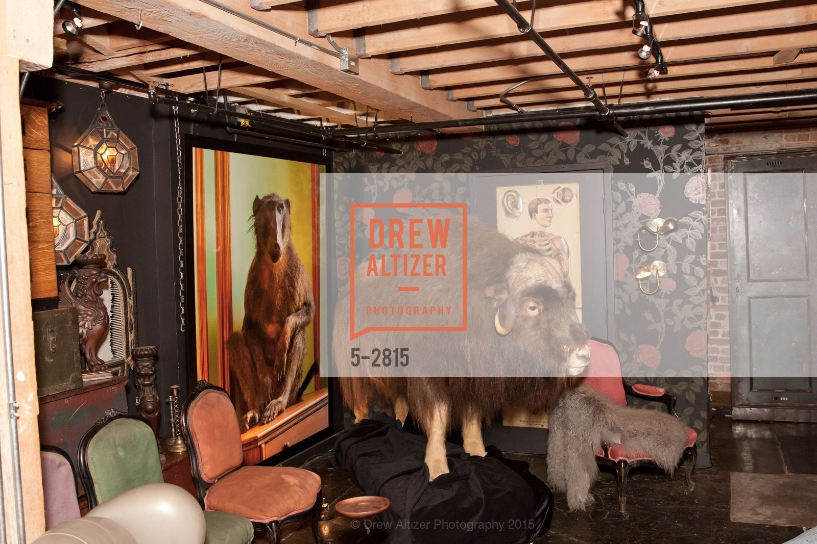 Atmosphere, "I Left It on the Mountain" - KEVIN SESSUMS' Book Signing, US, February 19th, 2015, Photo #5-2815 Atmosphere, Photo #5-2815