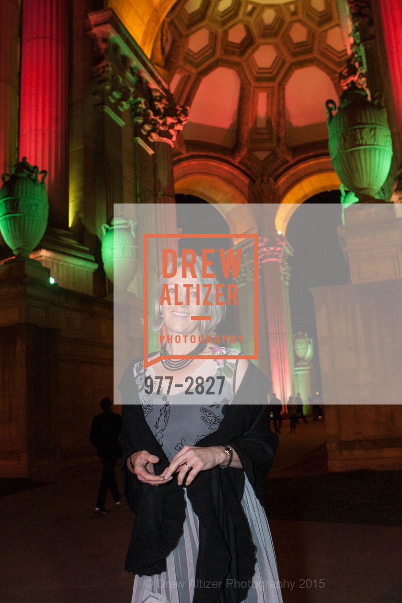 Anthea Hartig, 1915 Panama Pacific International Exposition Centennial Celebration Opening Party, US, February 21st, 2015, Photo #977-2827 Anthea Hartig, Photo #977-2827
