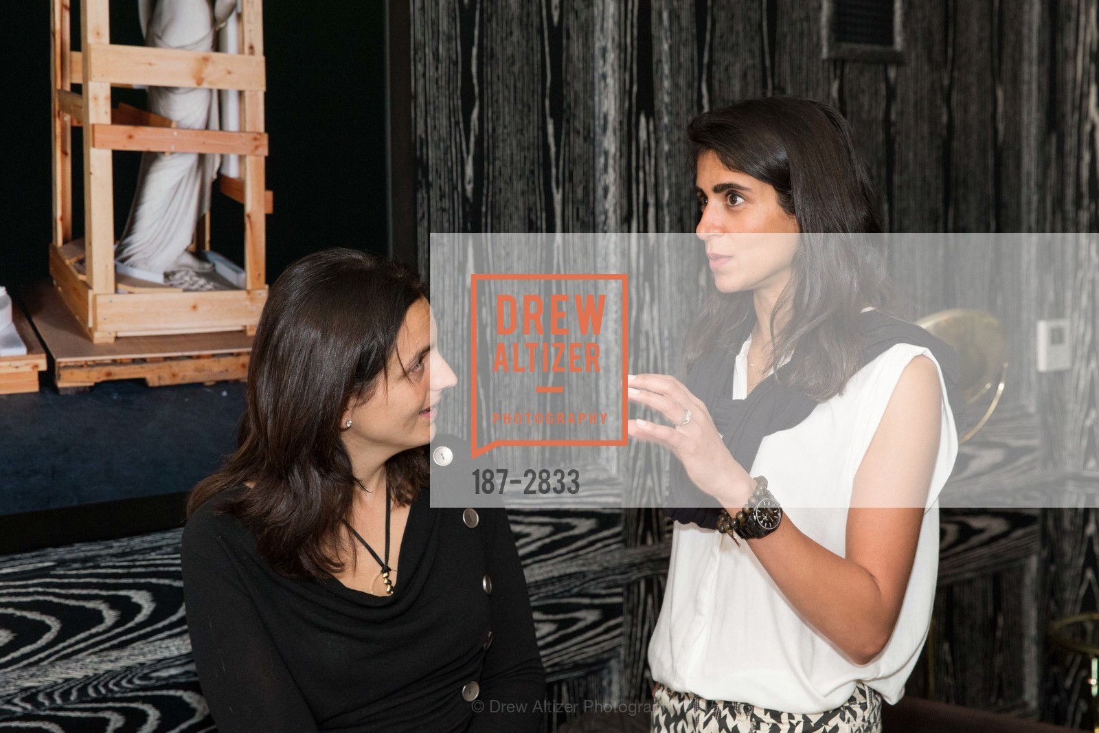 Silvia Console Battilana, Sonia McFarland, LAXMI: A Box Opening, US, February 22nd, 2015, Photo #187-2833 Silvia Console Battilana, Sonia McFarland, Photo #187-2833