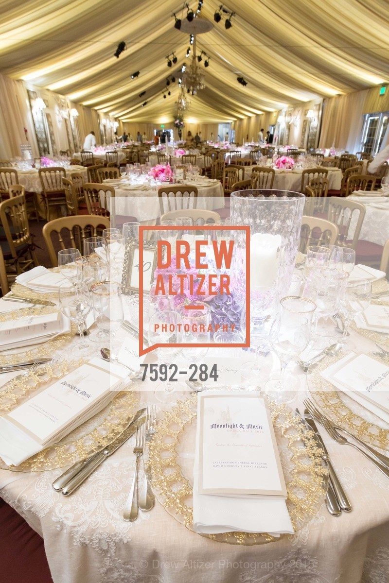 Atmosphere, Opera Ball 2015: Moonlight & Music, War Memorial Opera House. 301 Van Ness Ave, September 11th, 2015,Drew Altizer, Drew Altizer Photography, full-service agency, private events, San Francisco photographer, photographer california
