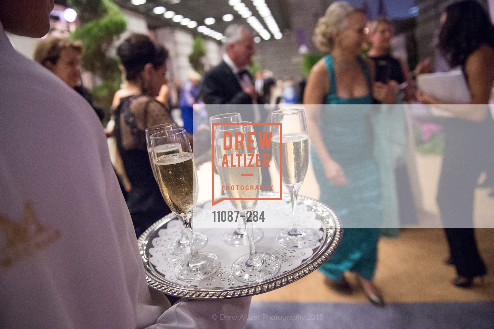 Atmosphere, Opera Ball 2015: Moonlight & Music, War Memorial Opera House. 301 Van Ness Ave, September 11th, 2015,Drew Altizer, Drew Altizer Photography, full-service agency, private events, San Francisco photographer, photographer california