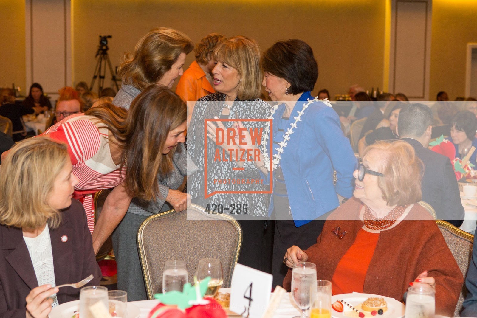 Ellen Magnim Newman, CCSF Basic Skills Luncheon, Fairmont Hotel, Grand Ballroom, September 15th, 2015,Drew Altizer, Drew Altizer Photography, full-service agency, private events, San Francisco photographer, photographer california