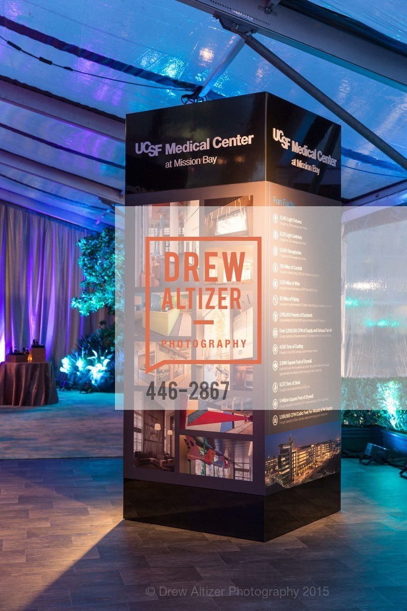 Atmosphere, UCSF MEDICAL CENTER Champions Gala, US, January 11th, 2015, Photo #446-2867 Atmosphere, Photo #446-2867