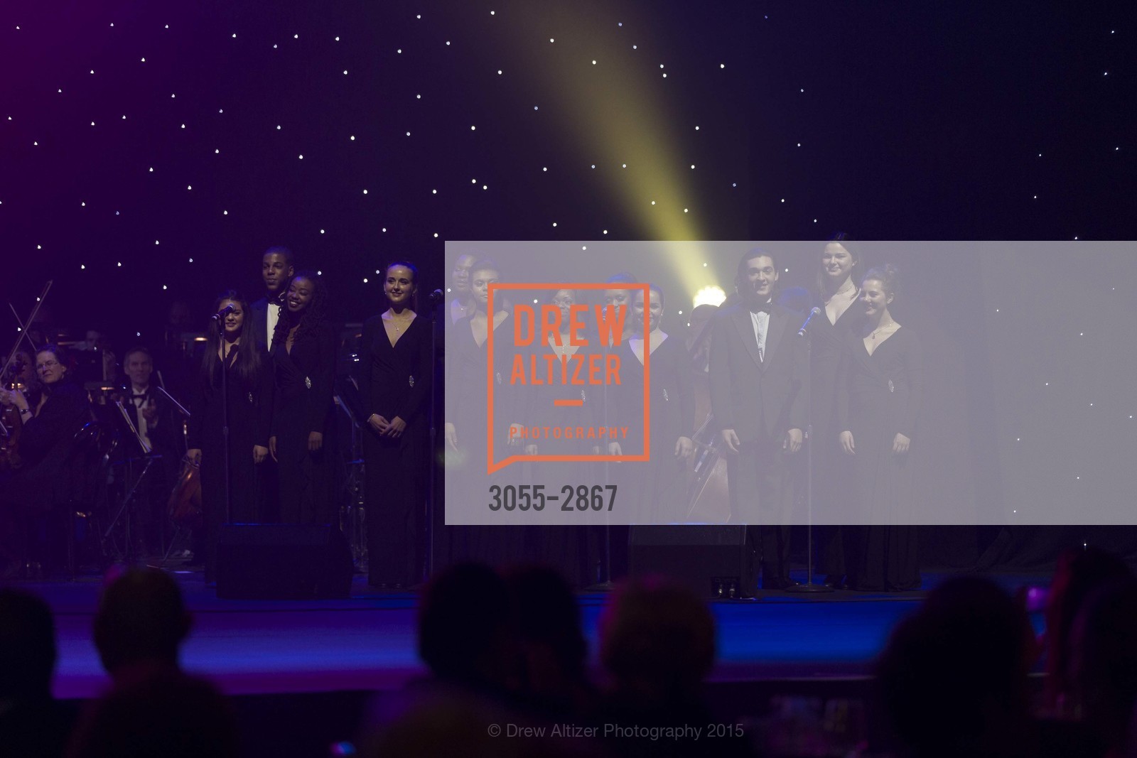 Performance, UCSF MEDICAL CENTER Champions Gala, US, January 11th, 2015, Photo #3055-2867 Performance, Photo #3055-2867