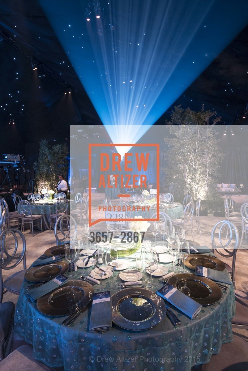 Atmosphere, UCSF MEDICAL CENTER Champions Gala, US, January 11th, 2015, Photo #3657-2867 Atmosphere, Photo #3657-2867