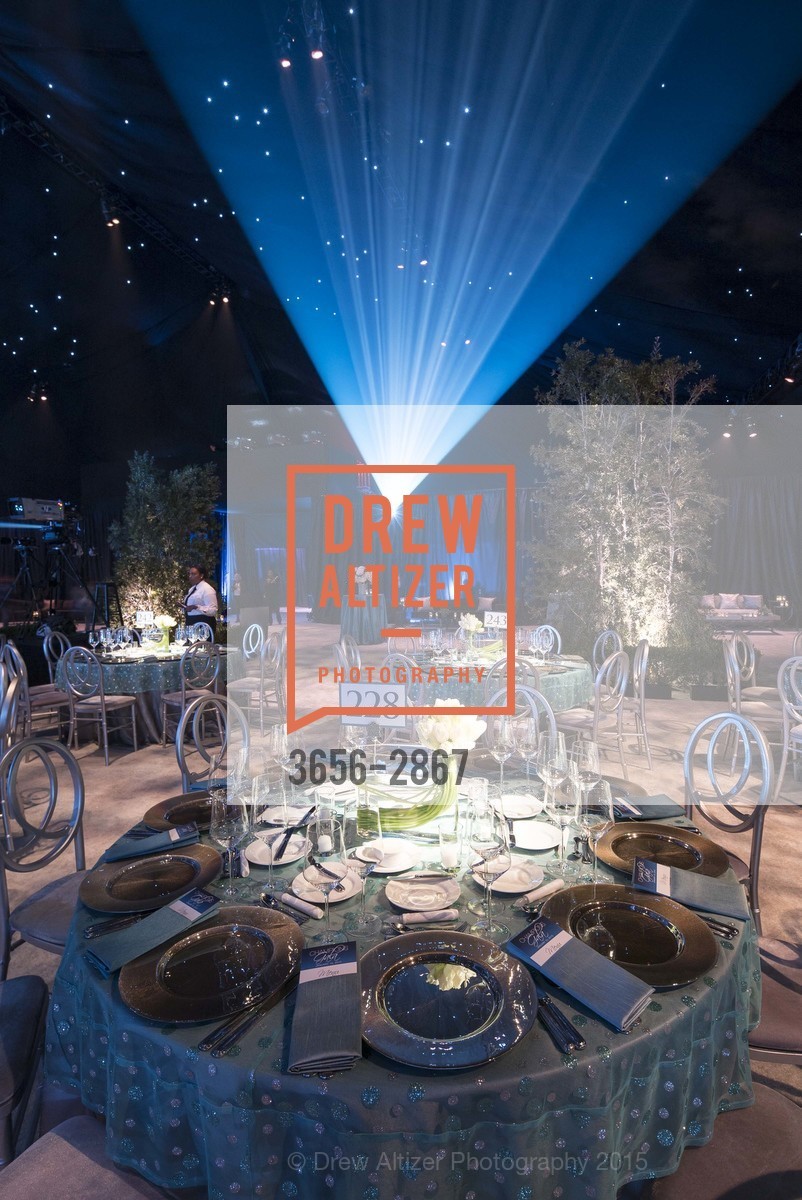 Atmosphere, UCSF MEDICAL CENTER Champions Gala, US, January 11th, 2015, Photo #3656-2867 Atmosphere, Photo #3656-2867