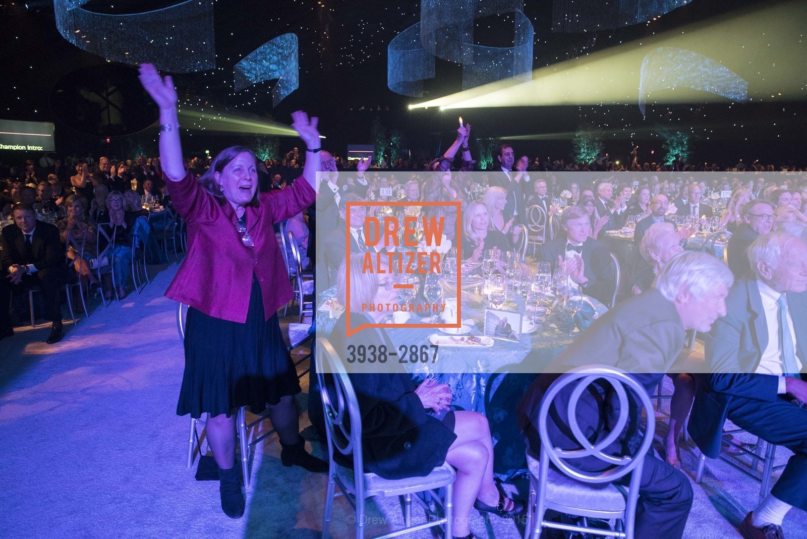 Atmosphere, UCSF MEDICAL CENTER Champions Gala, US, January 11th, 2015, Photo #3938-2867 Atmosphere, Photo #3938-2867