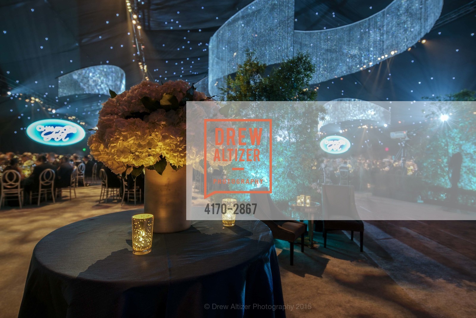 Atmosphere, UCSF MEDICAL CENTER Champions Gala, US, January 11th, 2015, Photo #4170-2867 Atmosphere, Photo #4170-2867