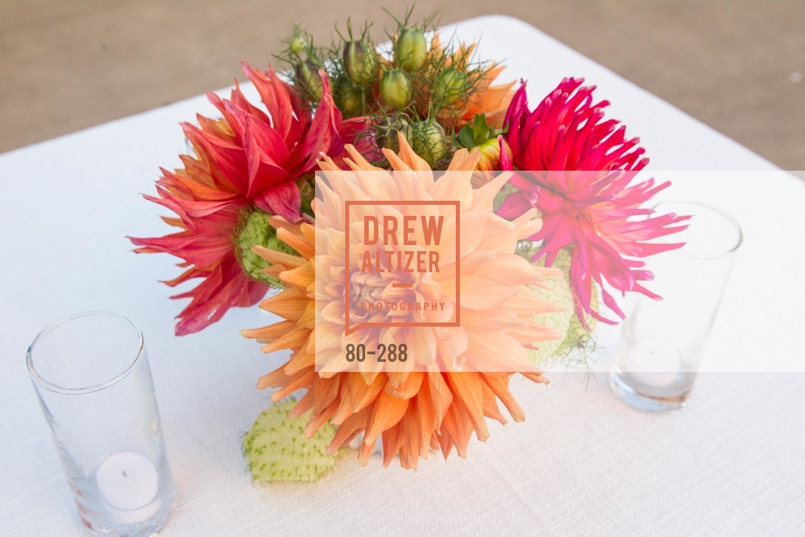 Atmosphere, Party for the Parks 2015, Palace of Fine Arts. 3301 Lyon St, September 19th, 2015,Drew Altizer, Drew Altizer Photography, full-service agency, private events, San Francisco photographer, photographer california