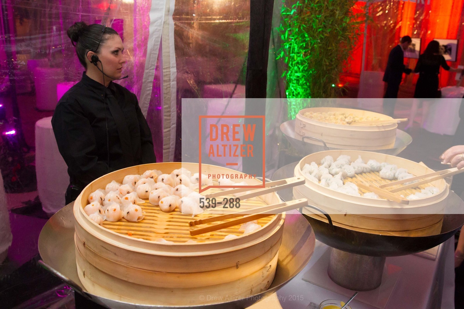 Atmosphere, Party for the Parks 2015, Palace of Fine Arts. 3301 Lyon St, September 19th, 2015,Drew Altizer, Drew Altizer Photography, full-service agency, private events, San Francisco photographer, photographer california