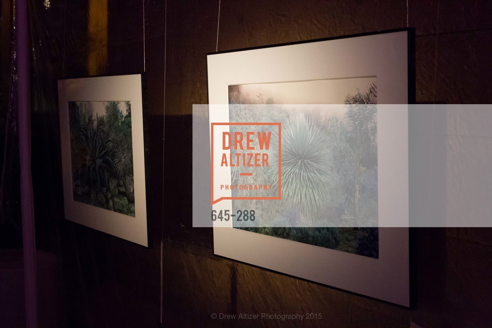 Atmosphere, Party for the Parks 2015, Palace of Fine Arts. 3301 Lyon St, September 19th, 2015,Drew Altizer, Drew Altizer Photography, full-service agency, private events, San Francisco photographer, photographer california