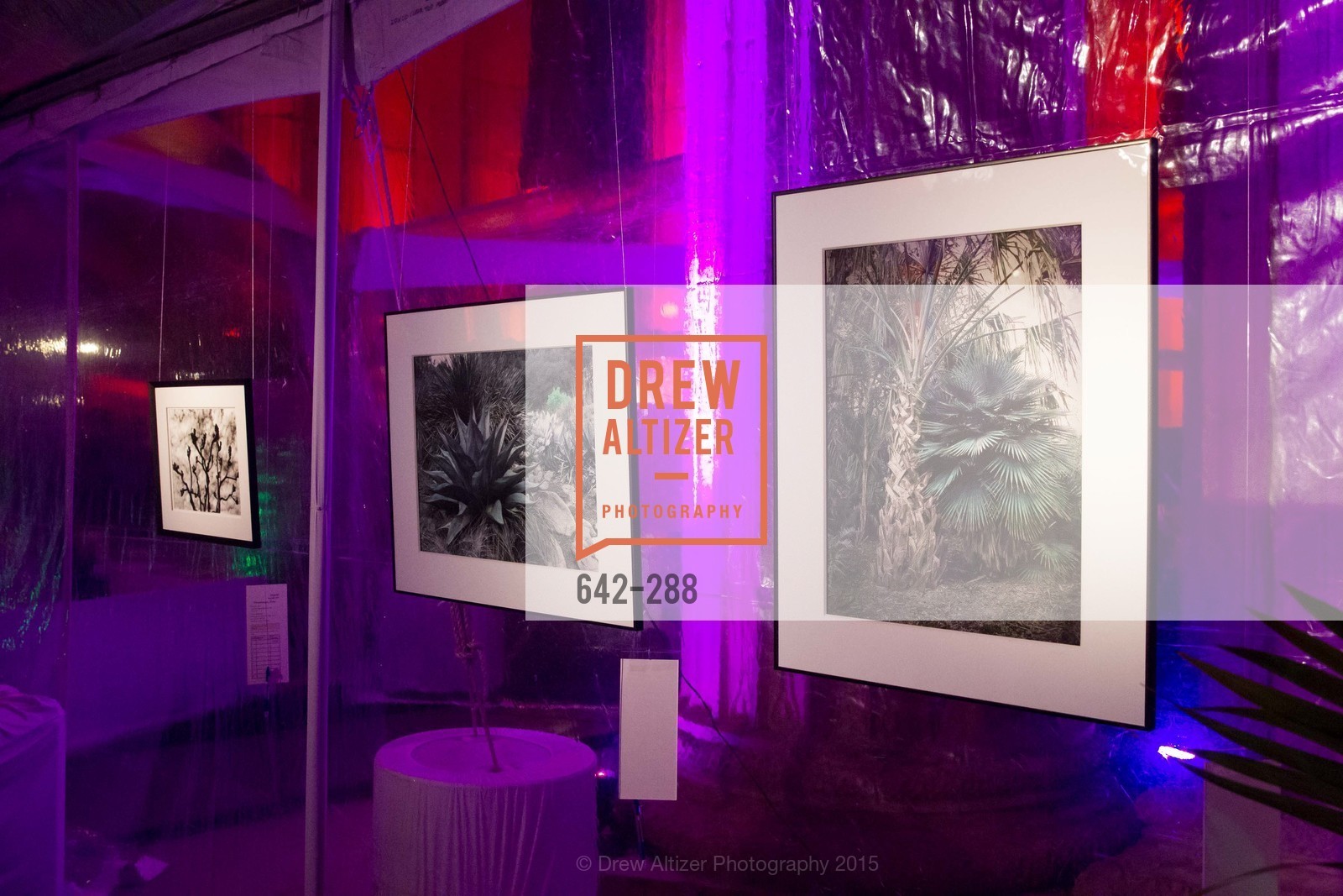 Atmosphere, Party for the Parks 2015, Palace of Fine Arts. 3301 Lyon St, September 19th, 2015,Drew Altizer, Drew Altizer Photography, full-service agency, private events, San Francisco photographer, photographer california