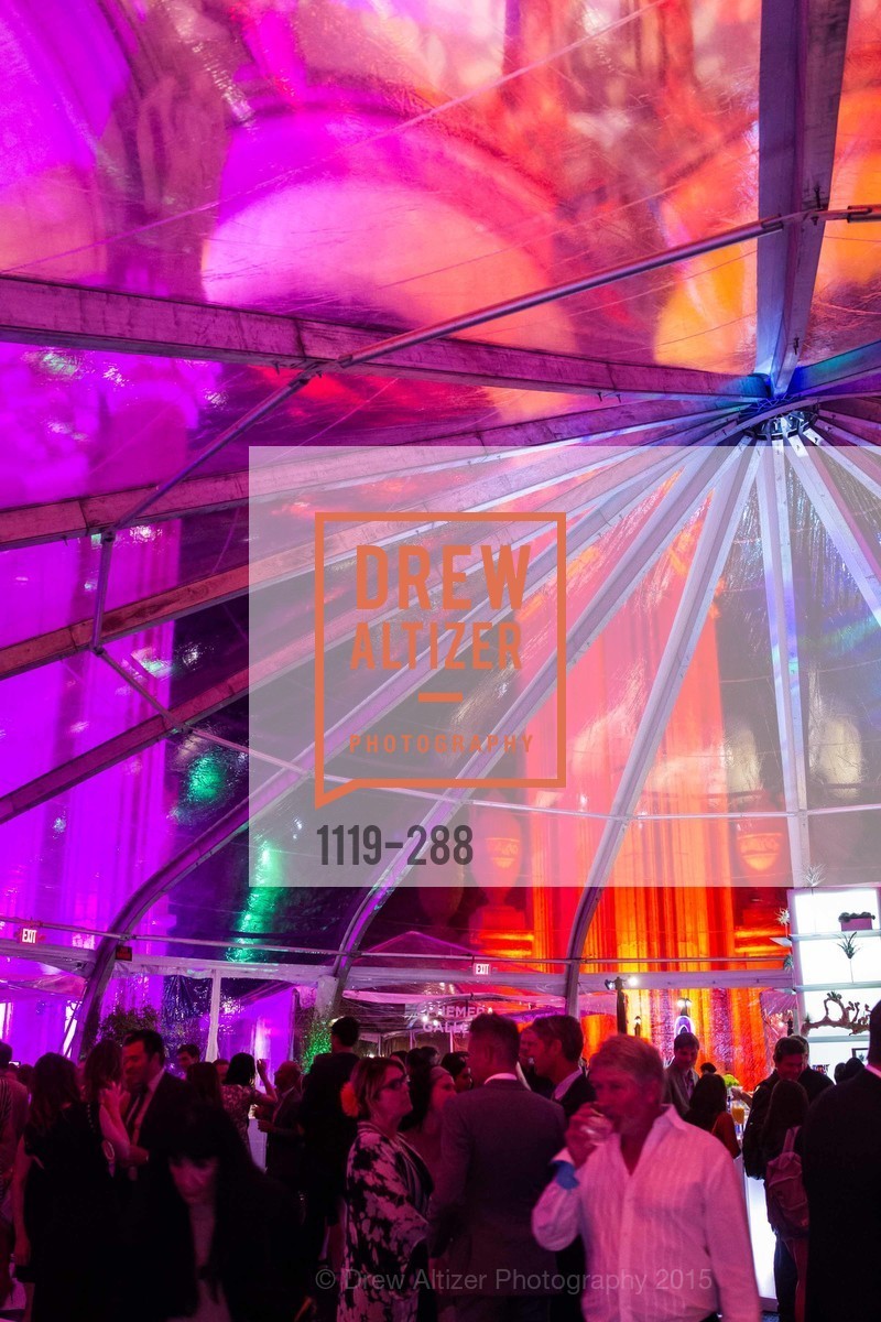 Atmosphere, Party for the Parks 2015, Palace of Fine Arts. 3301 Lyon St, September 19th, 2015,Drew Altizer, Drew Altizer Photography, full-service event agency, private events, San Francisco photographer, photographer California