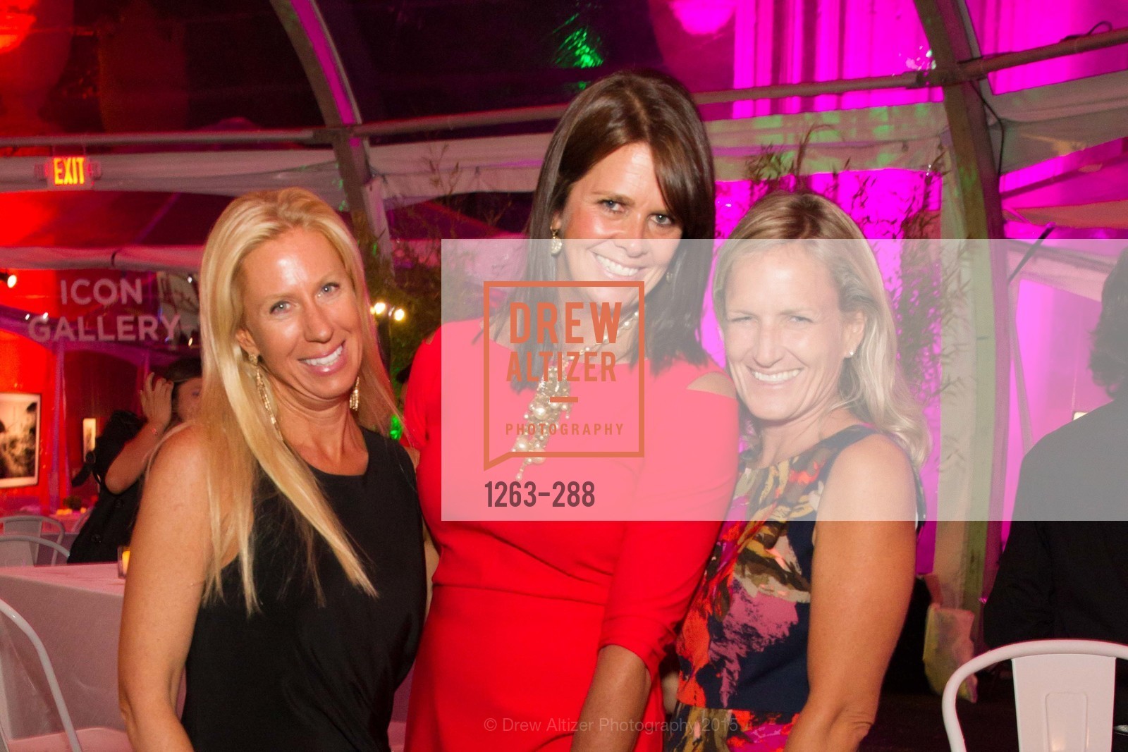 Christine Gardner, Janet Bijur, Party for the Parks 2015, Palace of Fine Arts. 3301 Lyon St, September 19th, 2015,Drew Altizer, Drew Altizer Photography, full-service agency, private events, San Francisco photographer, photographer california