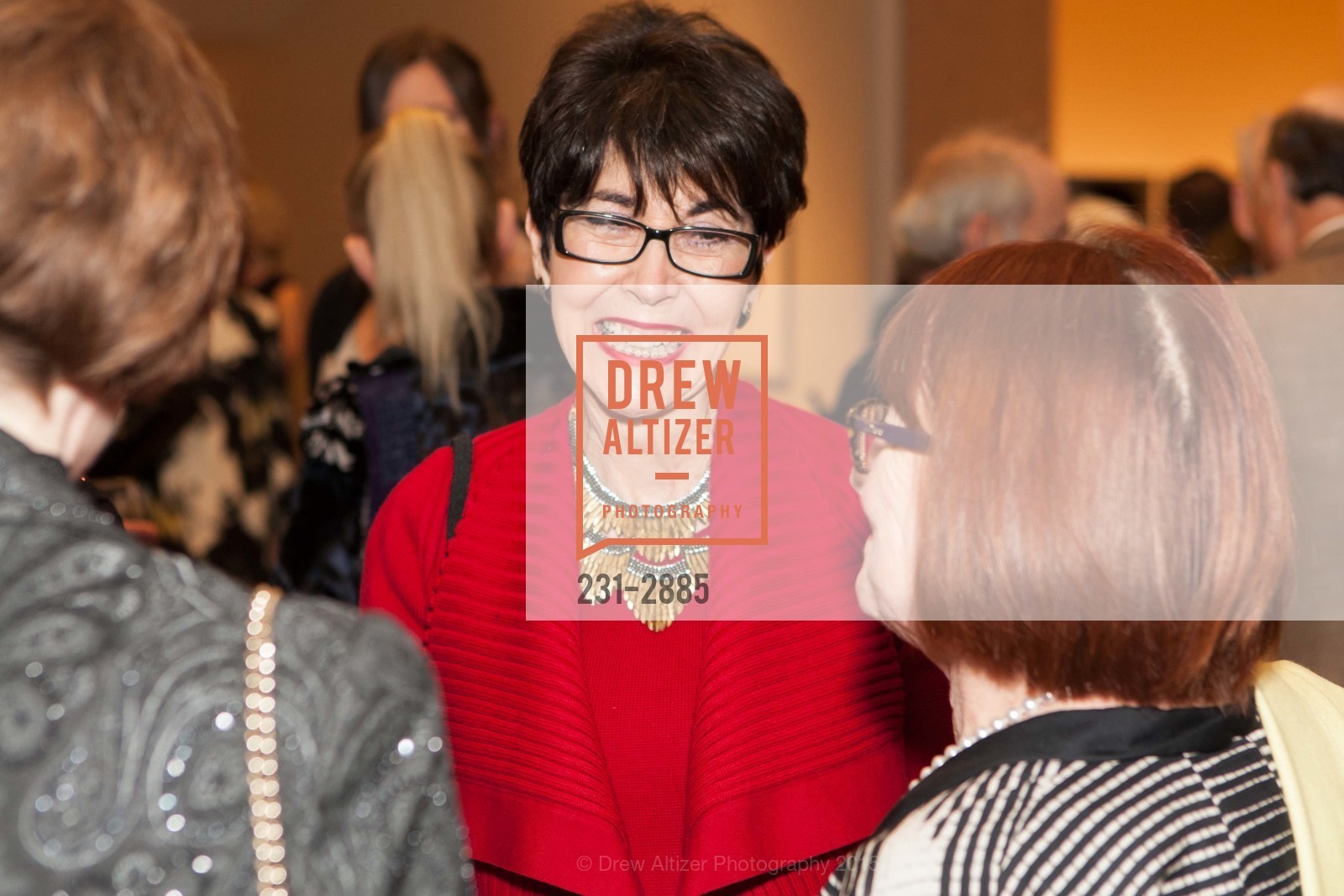 Alyce Parsons, SAN JOSE MUSEUM OF THE ARTS Hosts C100 Dinner, San Jose Museum of Art. 110 S Market St, San Jose, CA 95113, February 28th, 2015, Photo #231-2885 Alyce Parsons, Photo #231-2885