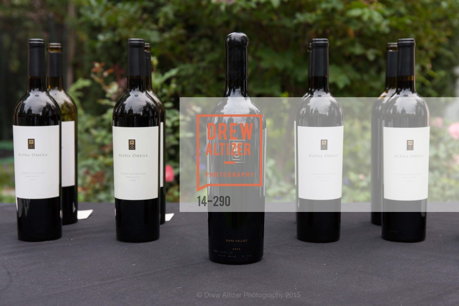 Atmosphere, Napa Valley Film Festival: Silicon Valley First Look, Private home. 1030 Hamilton Ave, September 16th, 2015,Drew Altizer, Drew Altizer Photography, full-service event agency, private events, San Francisco photographer, photographer California