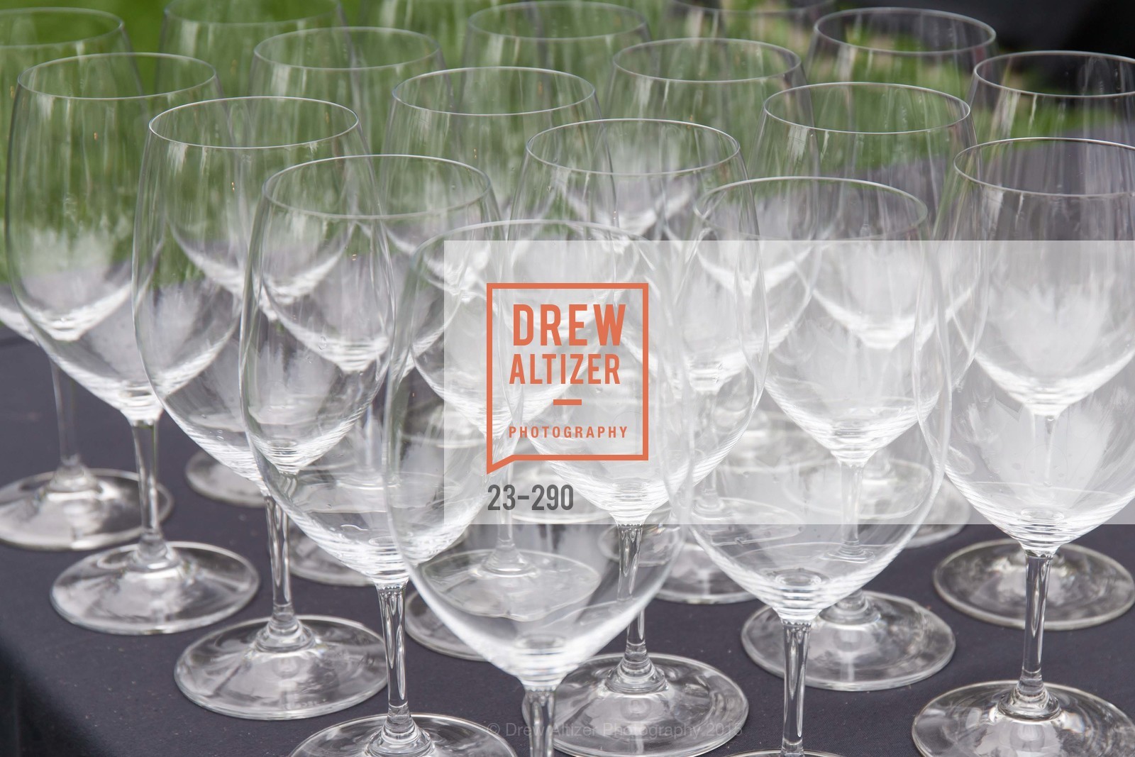 Atmosphere, Napa Valley Film Festival: Silicon Valley First Look, Private home. 1030 Hamilton Ave, September 16th, 2015,Drew Altizer, Drew Altizer Photography, full-service agency, private events, San Francisco photographer, photographer california